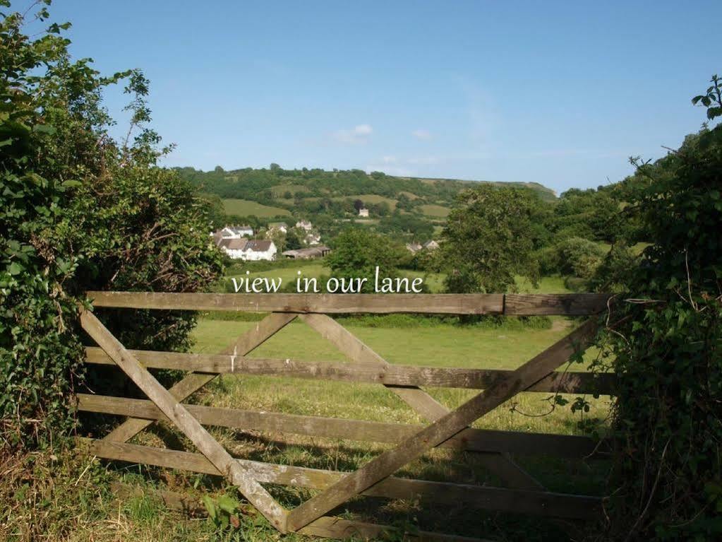 Cozy Snug Room, Short Drive To Lyme Regis, Crackling Fireplace, Private Balcony & Stunning Countryside Views, Free Private Parking & Wifi Axminster Exterior foto