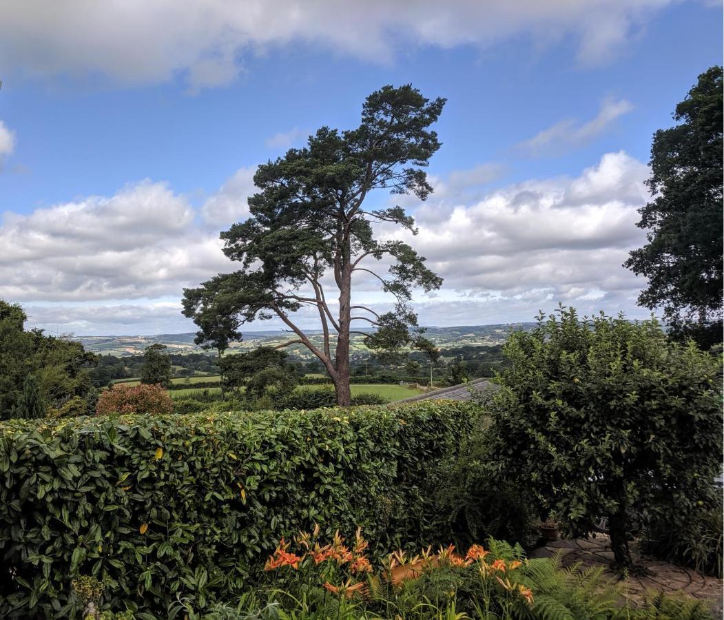 Cozy Snug Room, Short Drive To Lyme Regis, Crackling Fireplace, Private Balcony & Stunning Countryside Views, Free Private Parking & Wifi Axminster Exterior foto